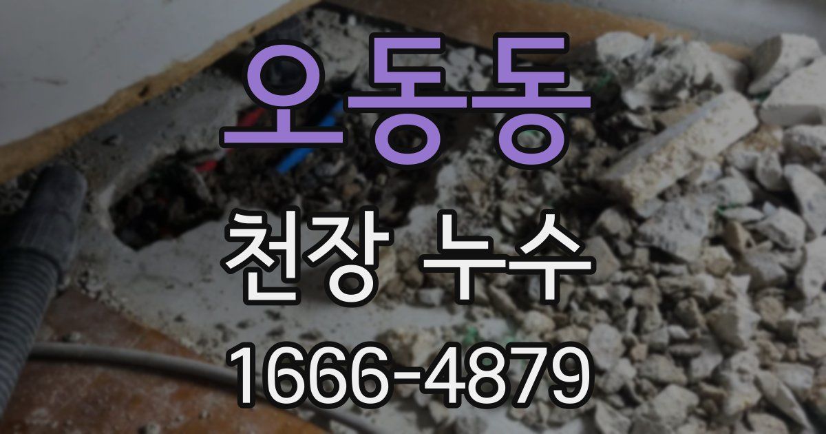 오동동 천장 누수