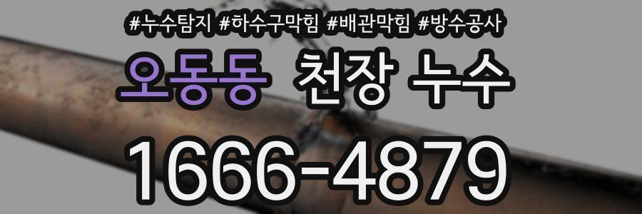 오동동 천장 누수