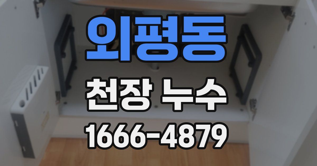 외평동 천장 누수