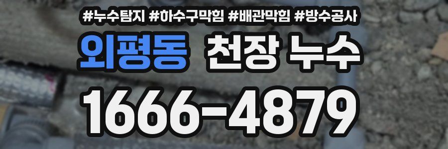 외평동 천장 누수