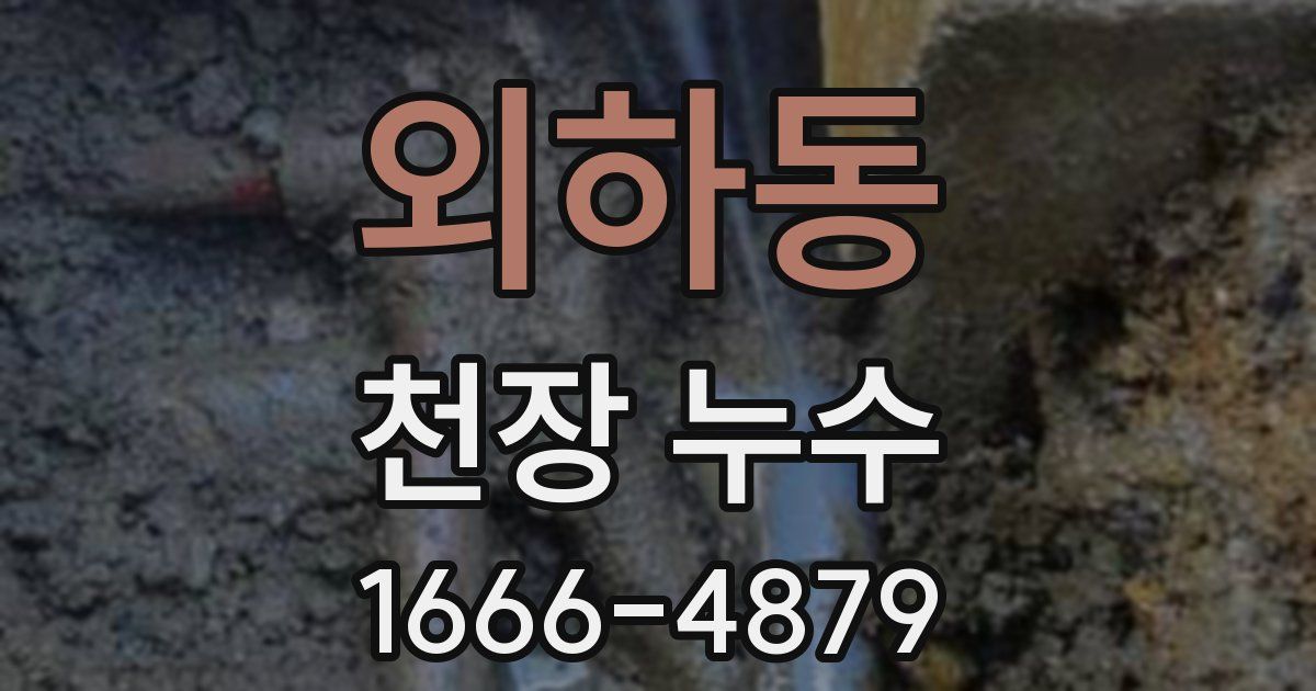 외하동 천장 누수