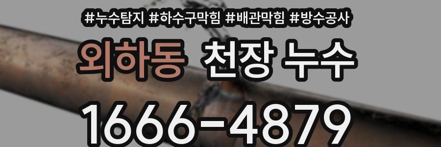 외하동 천장 누수