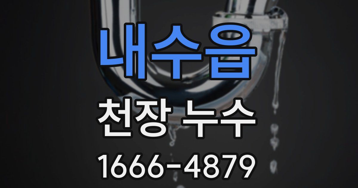 내수읍 천장 누수