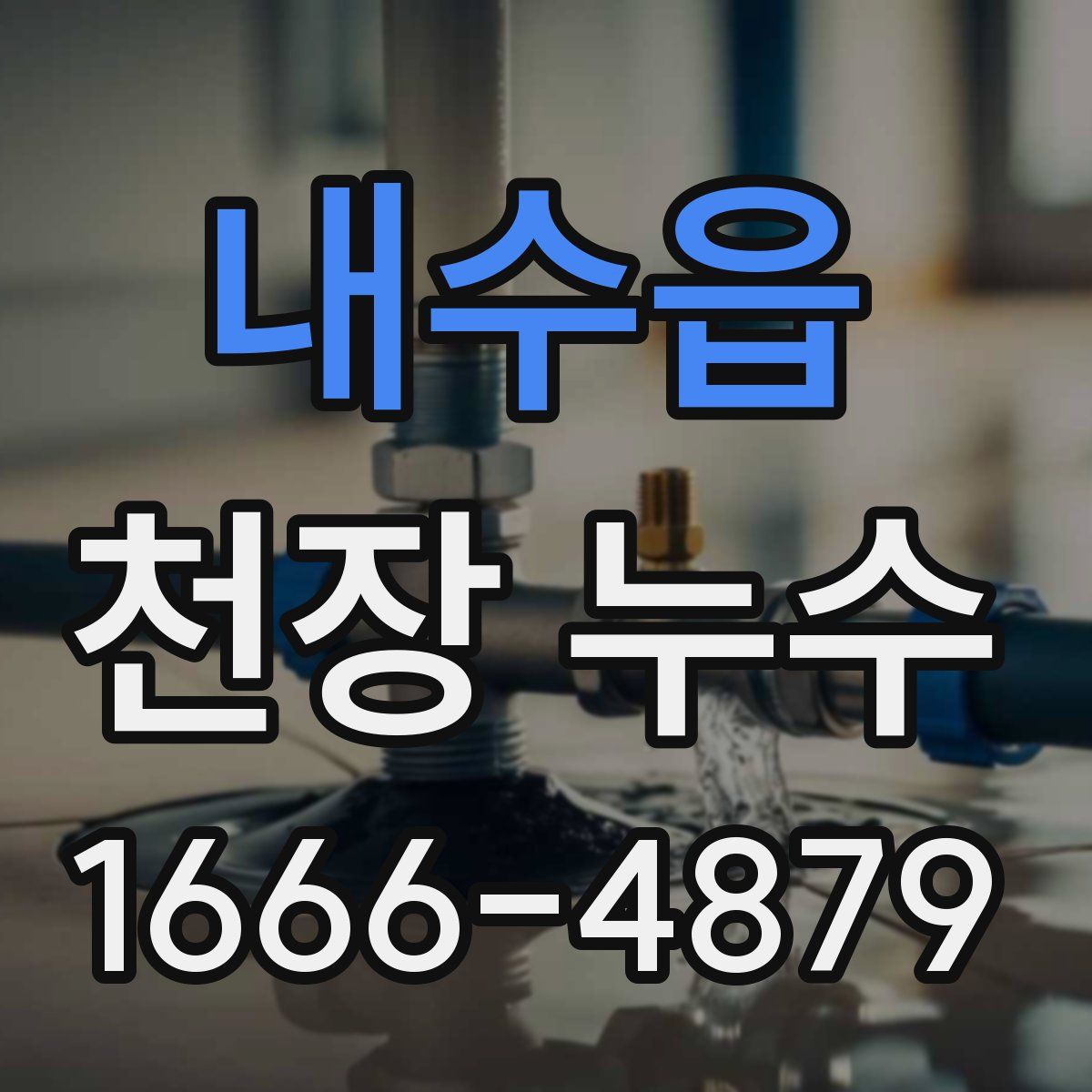 내수읍 천장 누수