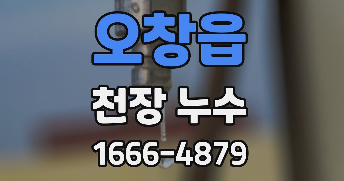 오창읍 천장 누수