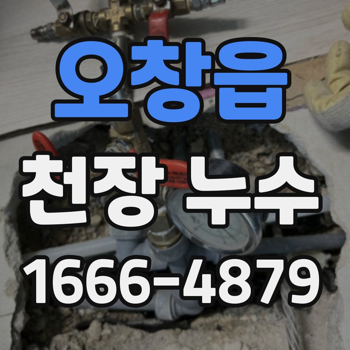 오창읍 천장 누수