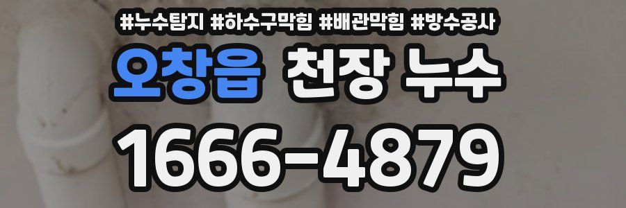 오창읍 천장 누수