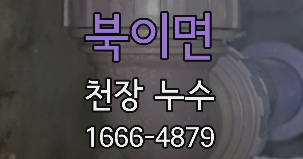 북이면 천장 누수