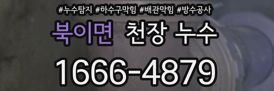 북이면 천장 누수
