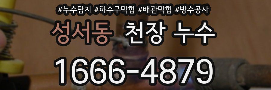 성서동 천장 누수