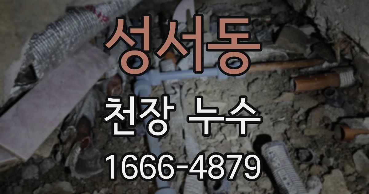 성서동 천장 누수