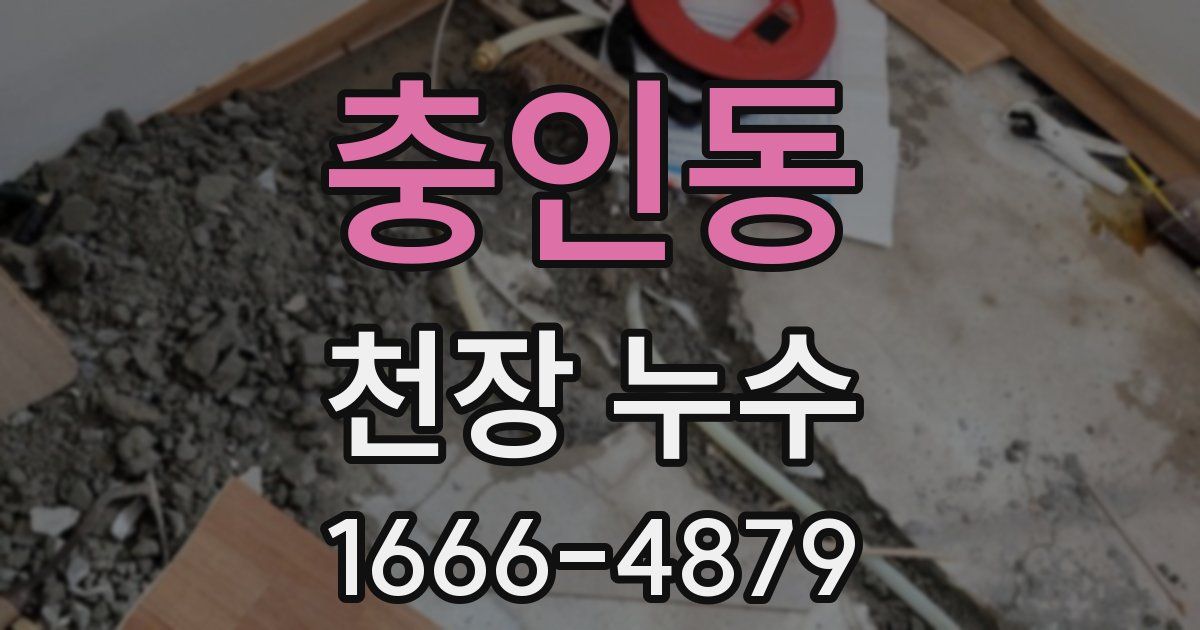 충인동 천장 누수