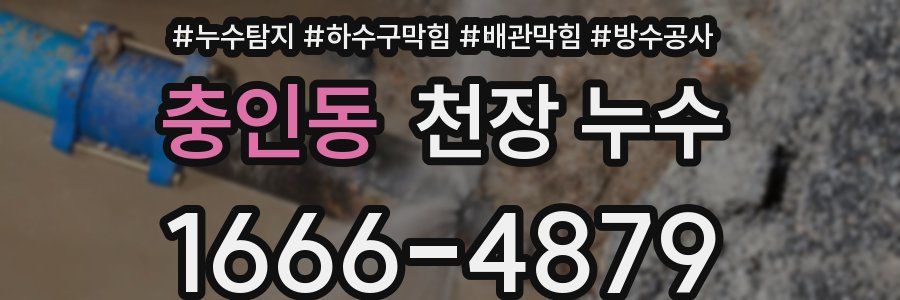 충인동 천장 누수