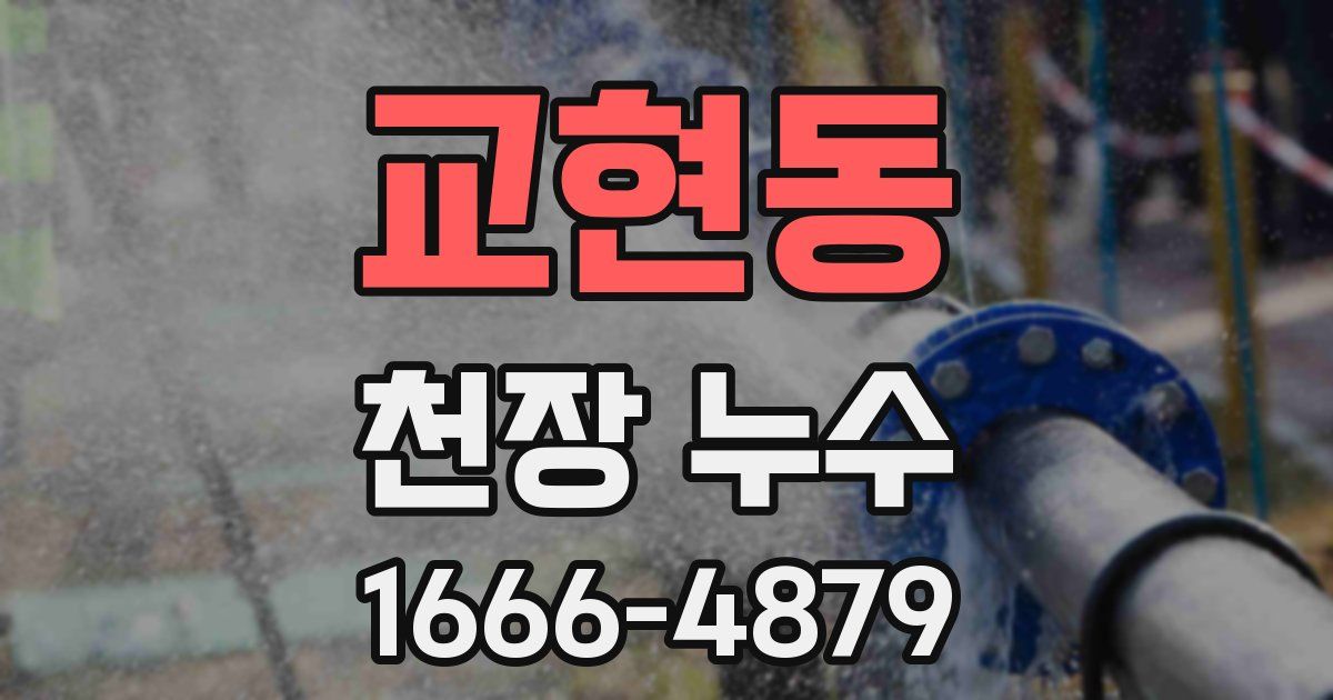 교현동 천장 누수