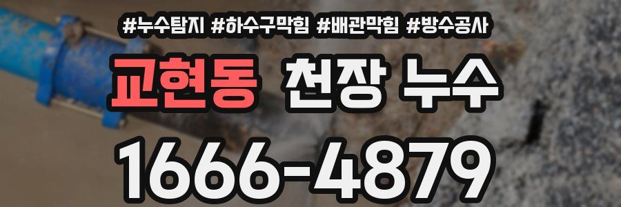 교현동 천장 누수