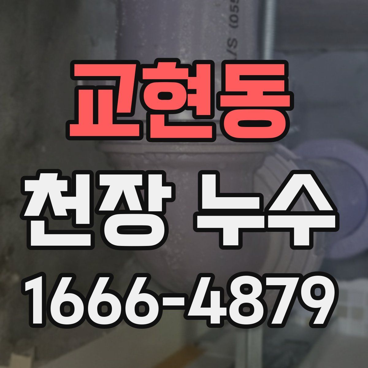 교현동 천장 누수