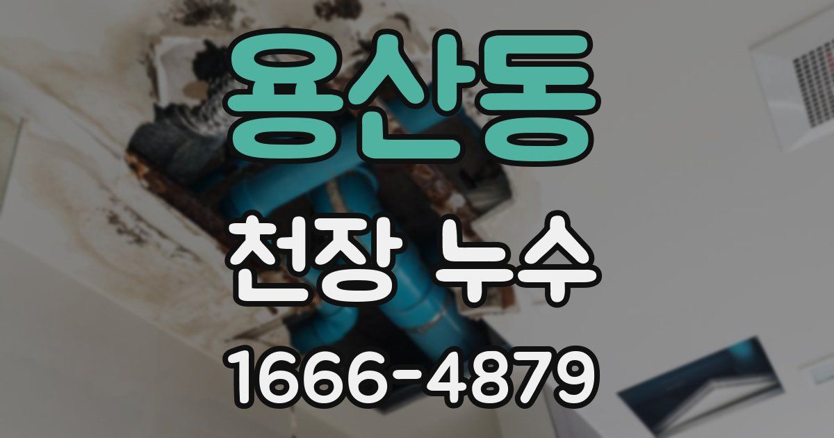 용산동 천장 누수