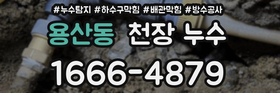 용산동 천장 누수