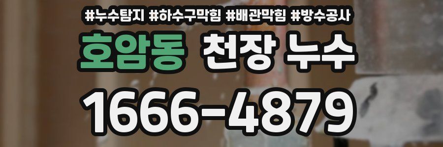 호암동 천장 누수