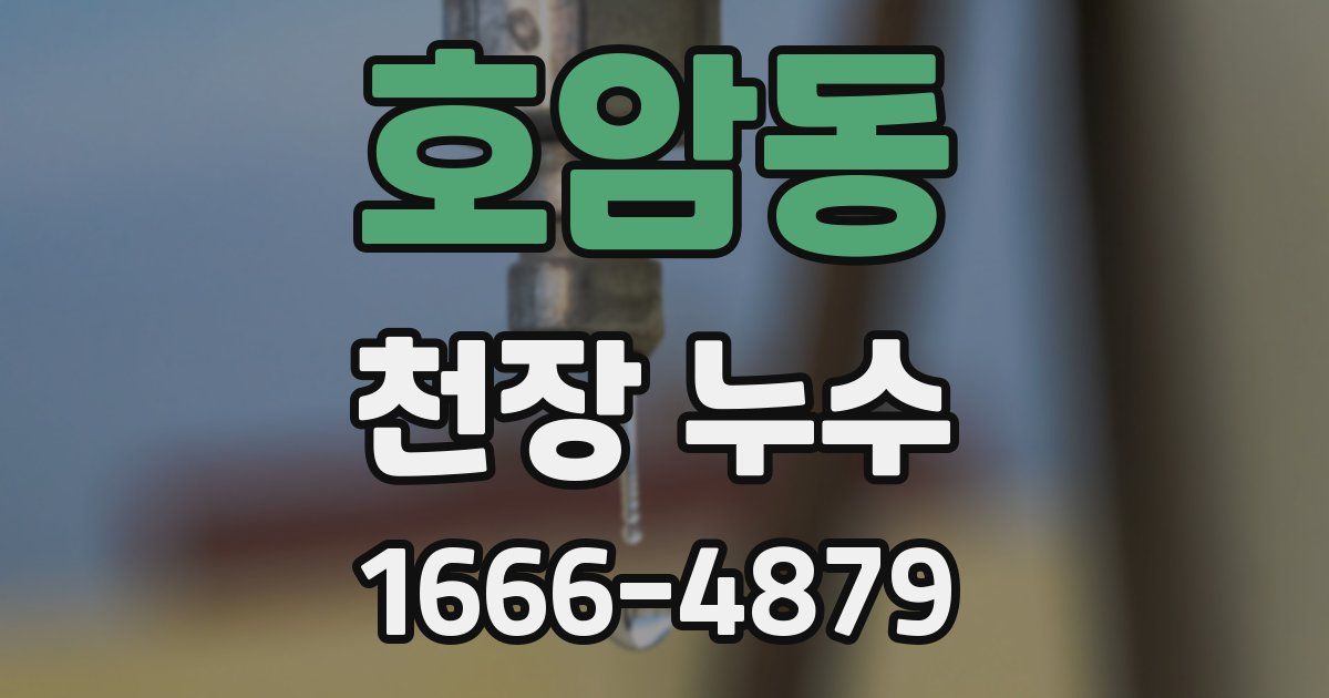 호암동 천장 누수