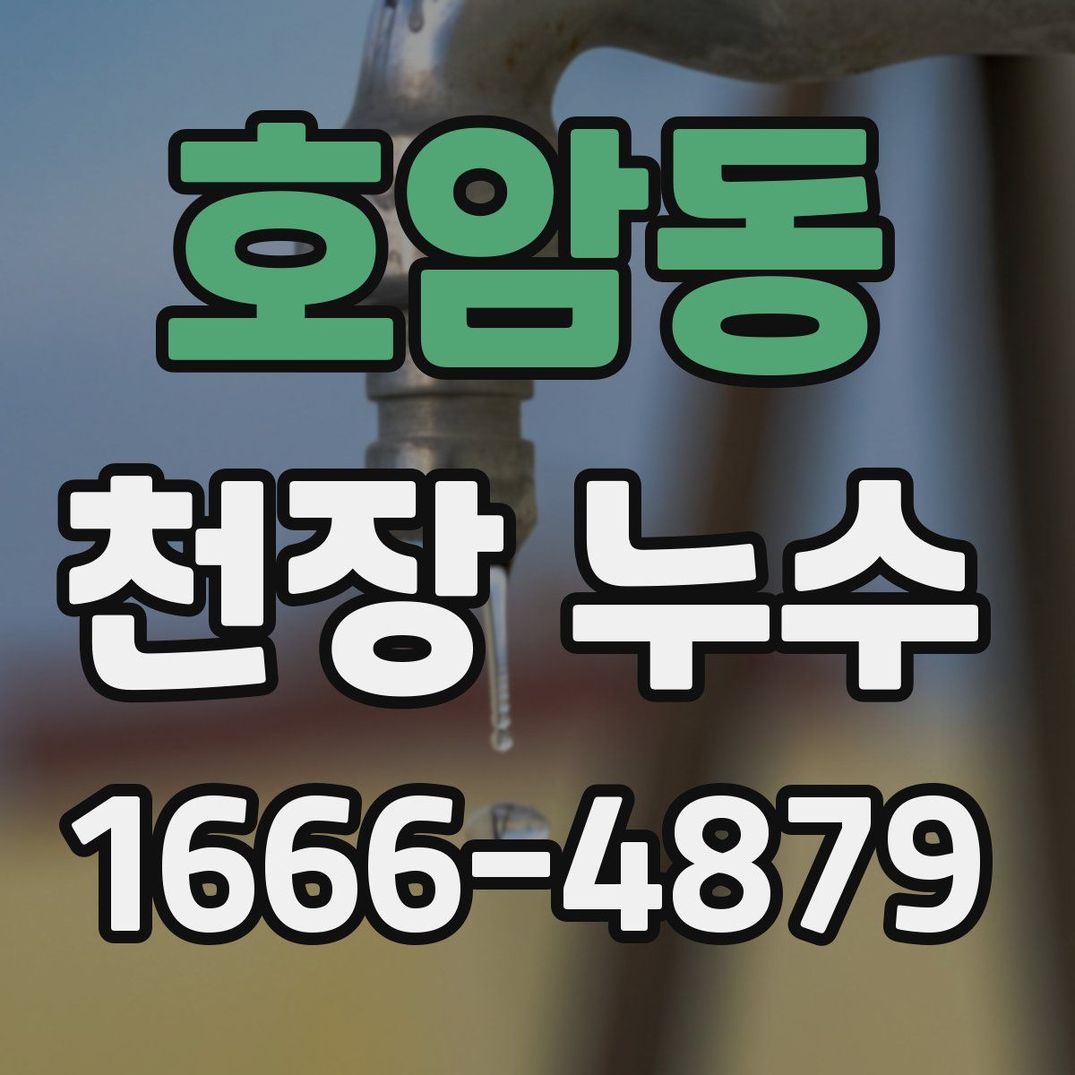 호암동 천장 누수