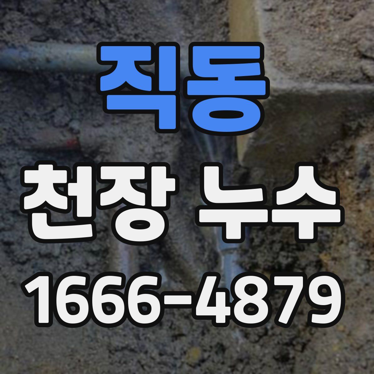 직동 천장 누수