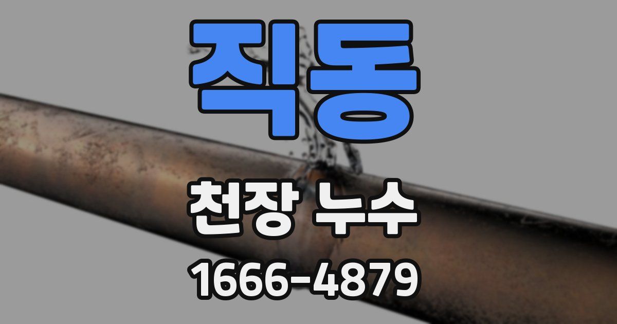 직동 천장 누수