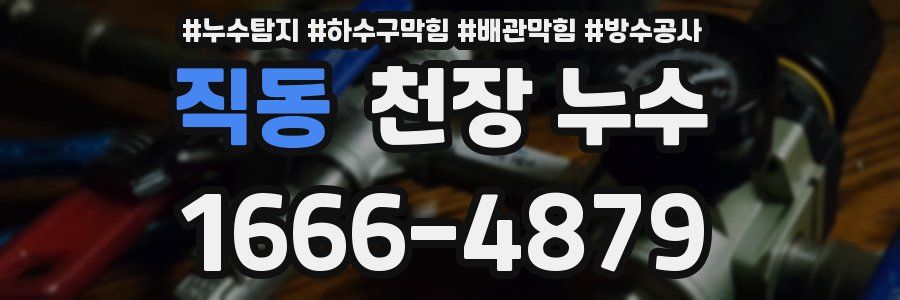 직동 천장 누수
