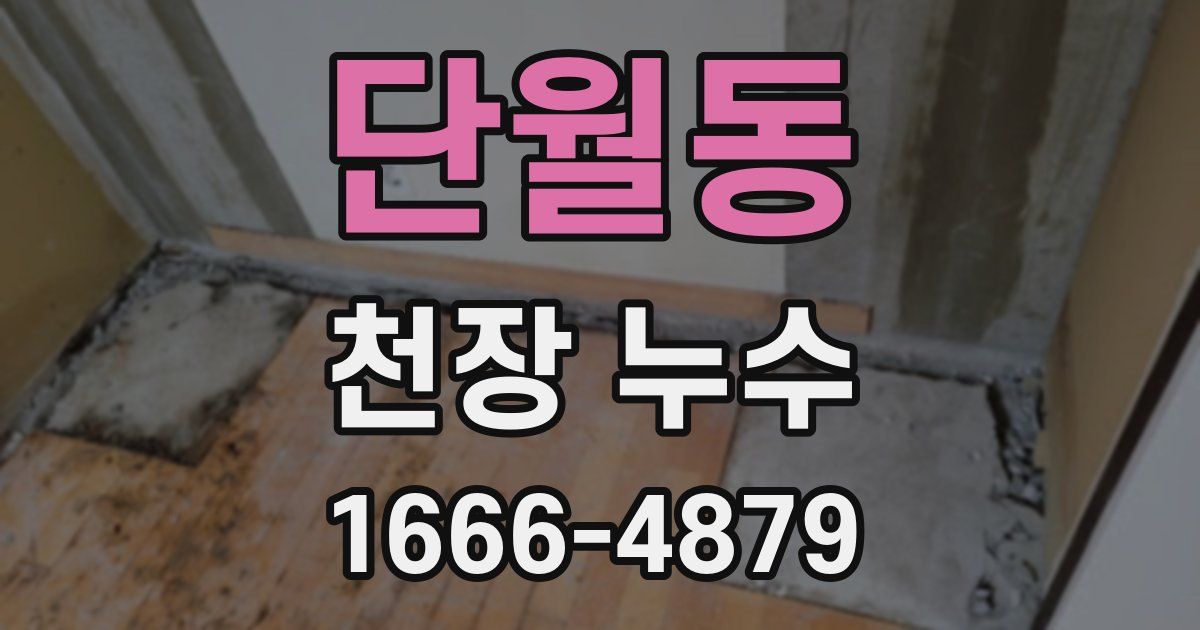 단월동 천장 누수