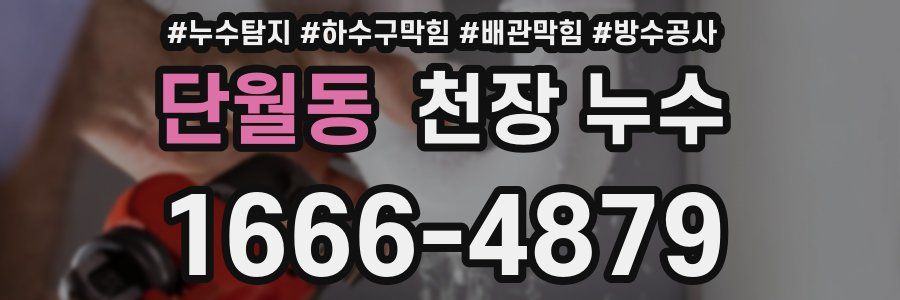 단월동 천장 누수