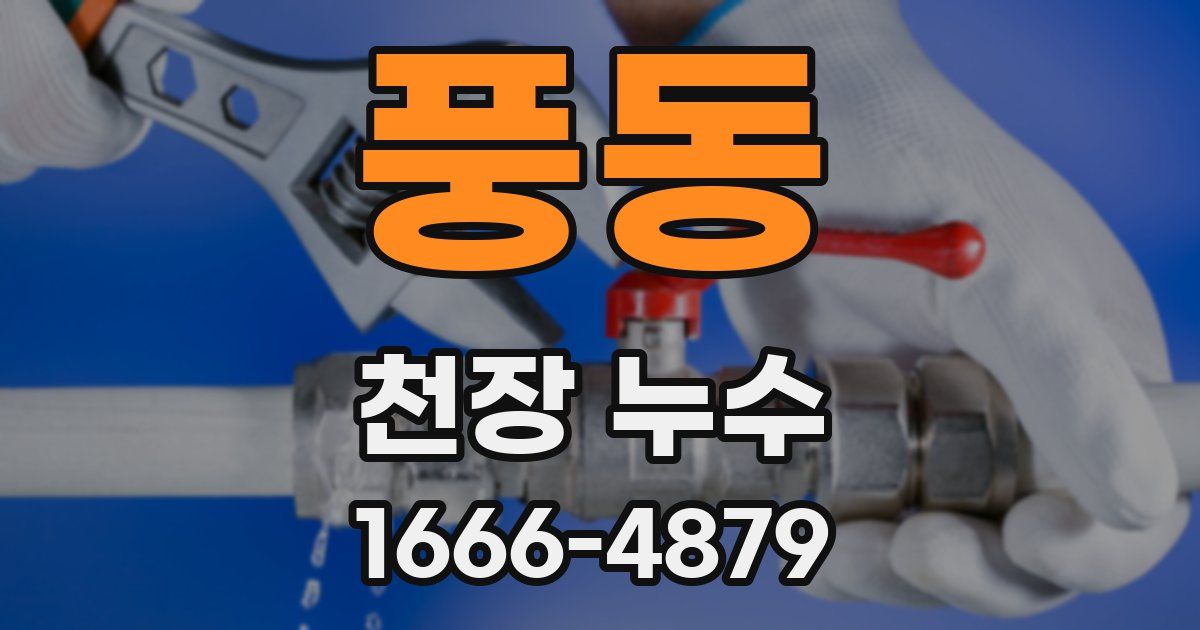 풍동 천장 누수