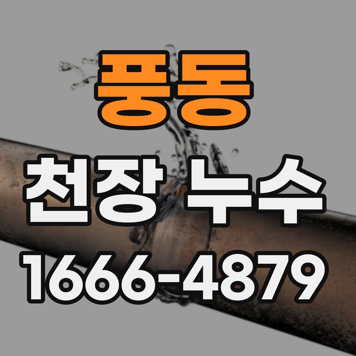 풍동 천장 누수