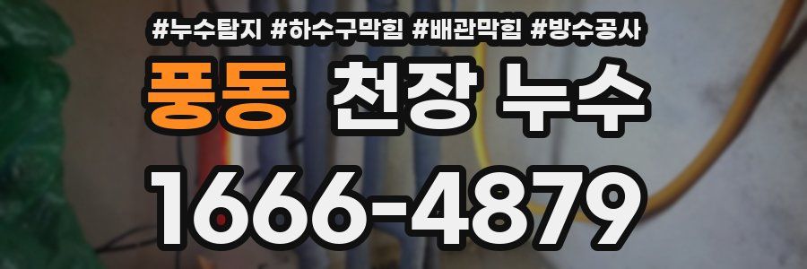 풍동 천장 누수