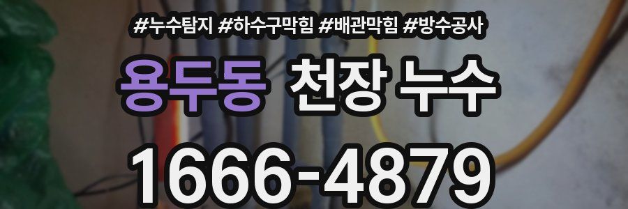 용두동 천장 누수