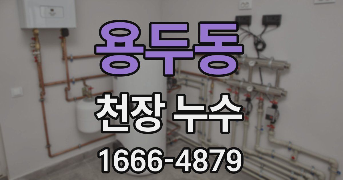 용두동 천장 누수