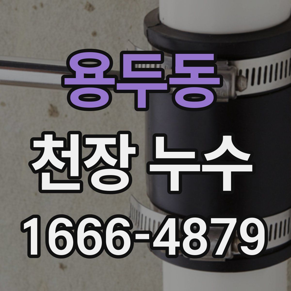 용두동 천장 누수
