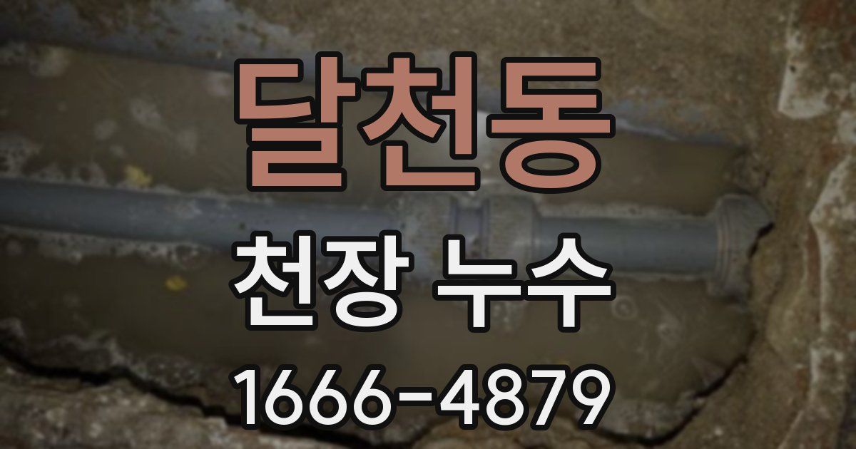 달천동 천장 누수