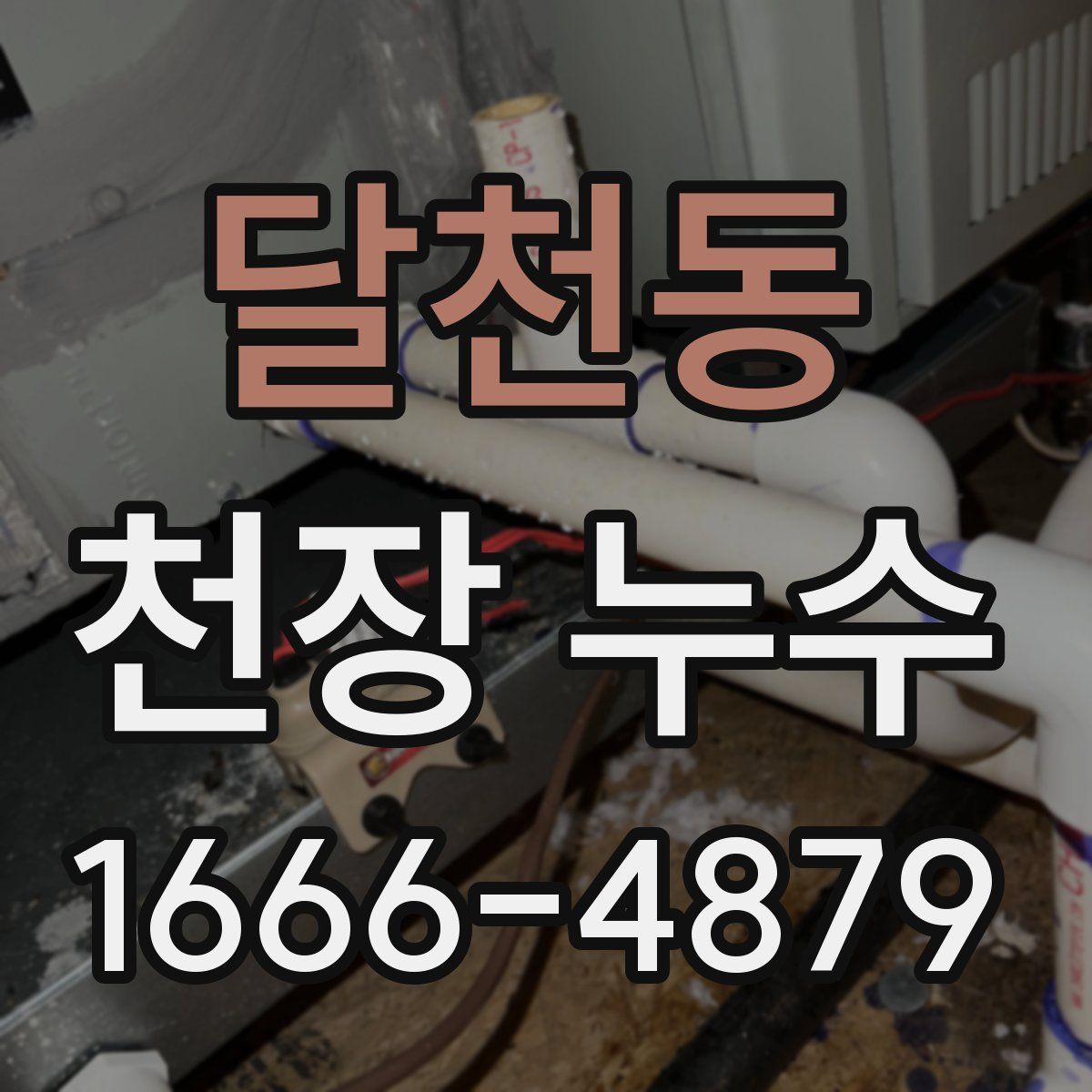 달천동 천장 누수