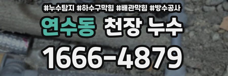 연수동 천장 누수