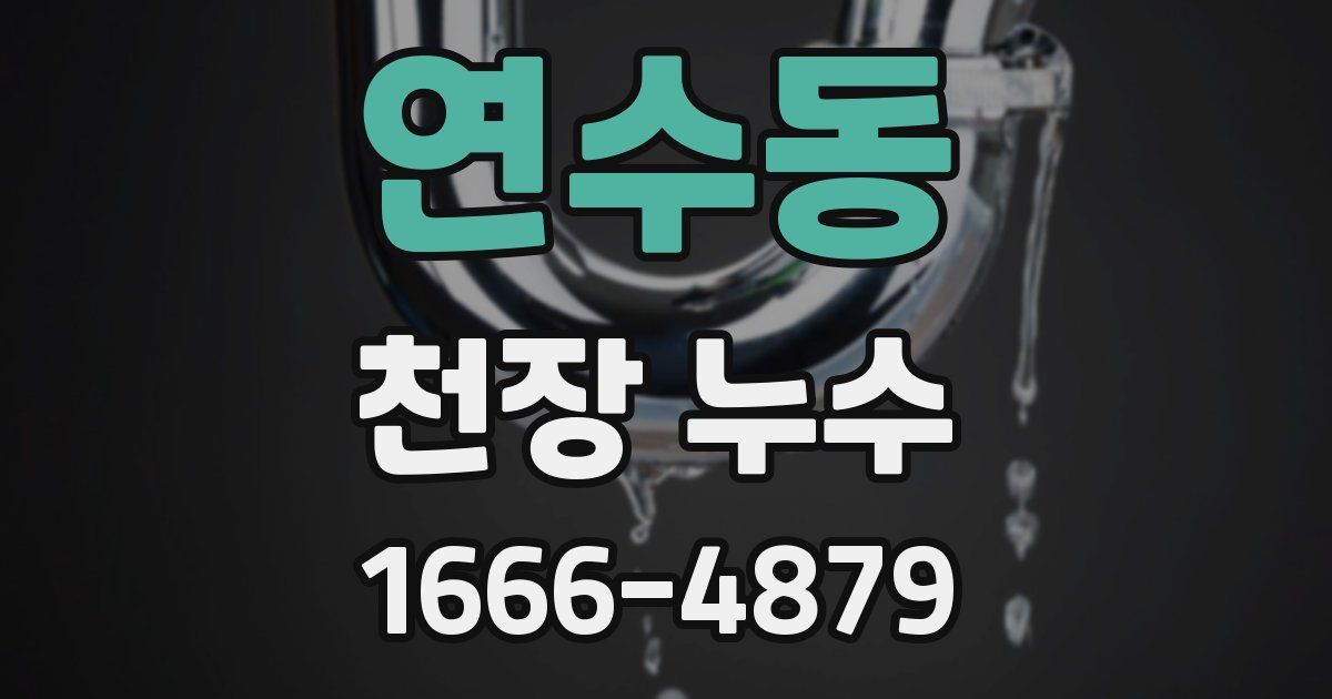 연수동 천장 누수
