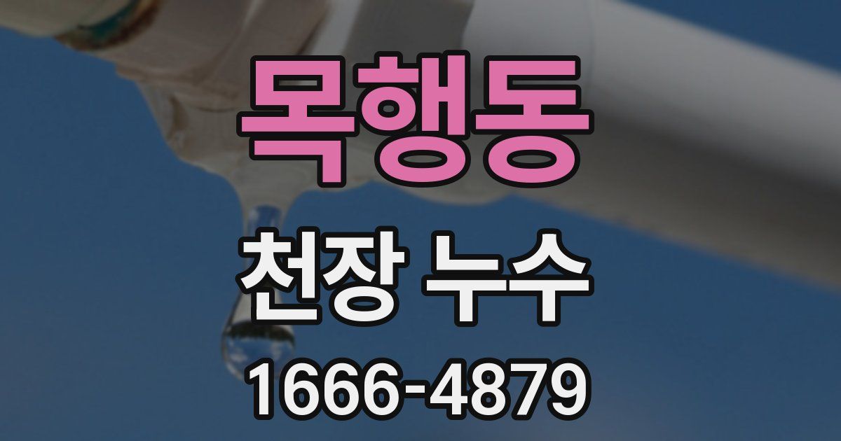 목행동 천장 누수