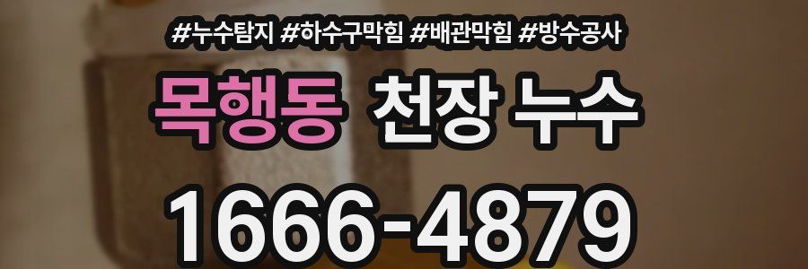 목행동 천장 누수