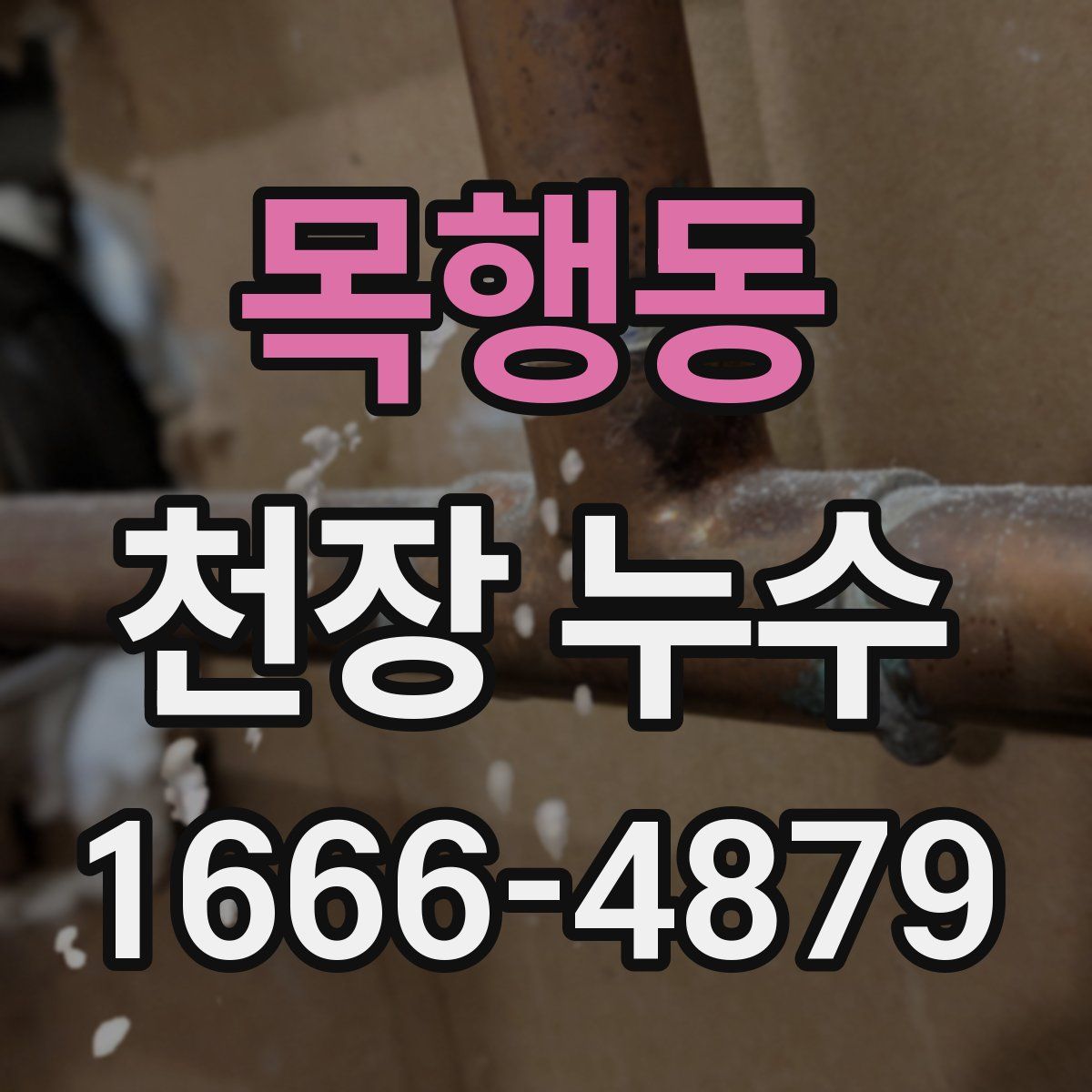 목행동 천장 누수