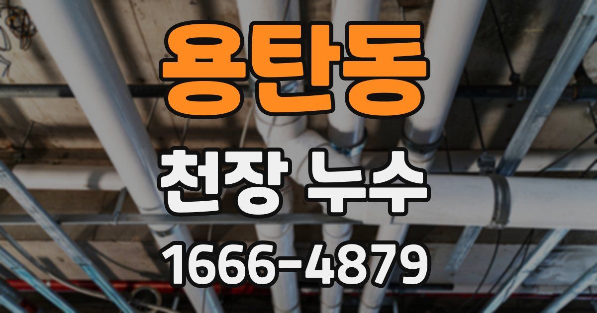 용탄동 천장 누수
