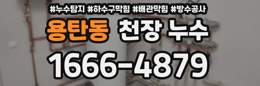 용탄동 천장 누수