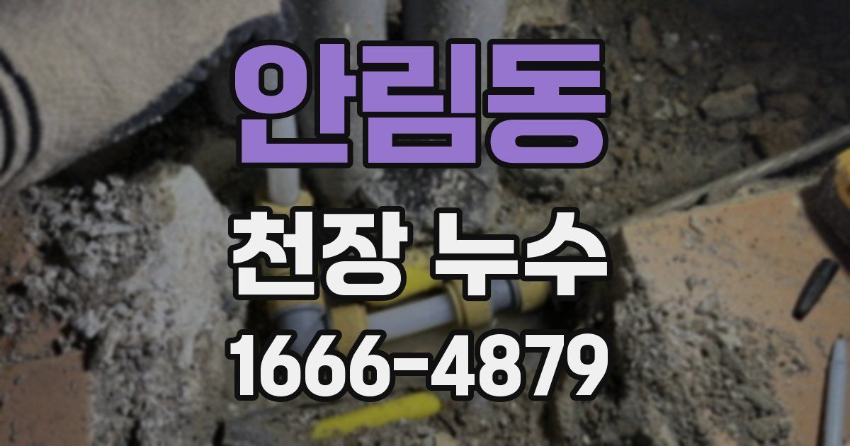 안림동 천장 누수