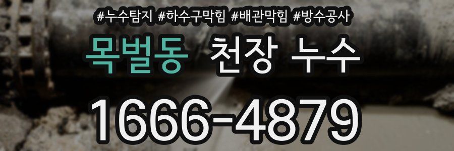 목벌동 천장 누수