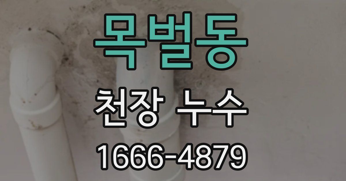 목벌동 천장 누수