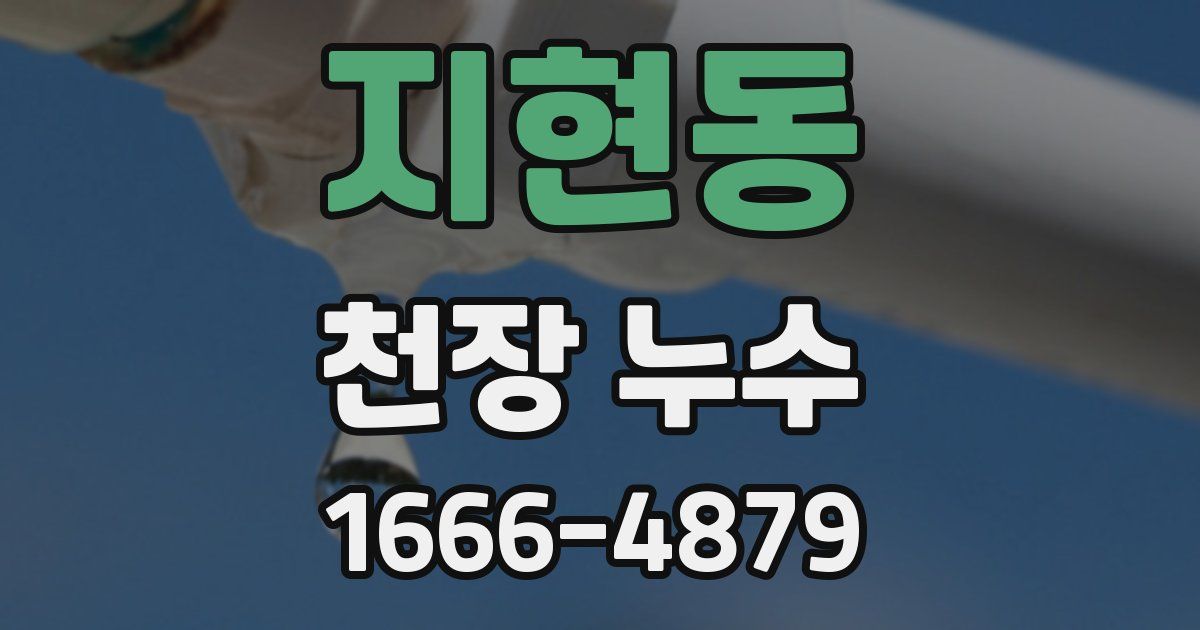 지현동 천장 누수