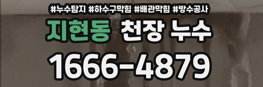 지현동 천장 누수